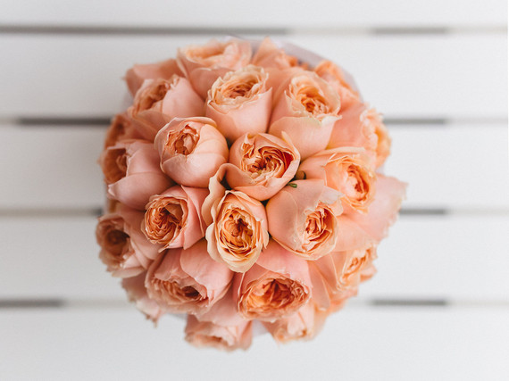 peach roses