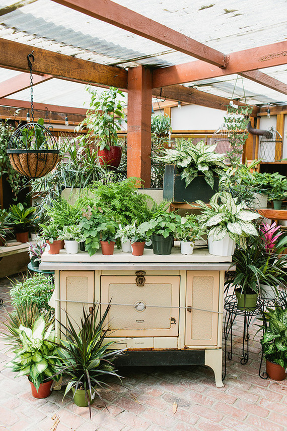 Barrels and Branches nursery