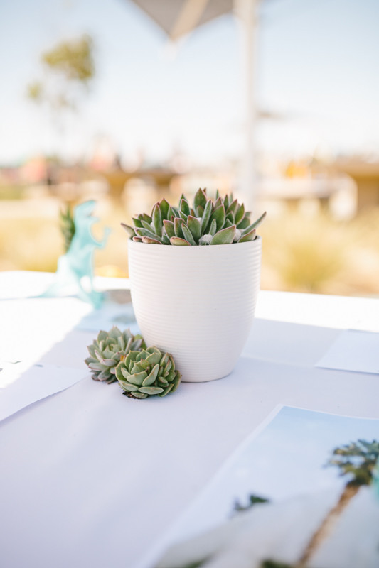 Modern dinosaur 2nd birthday