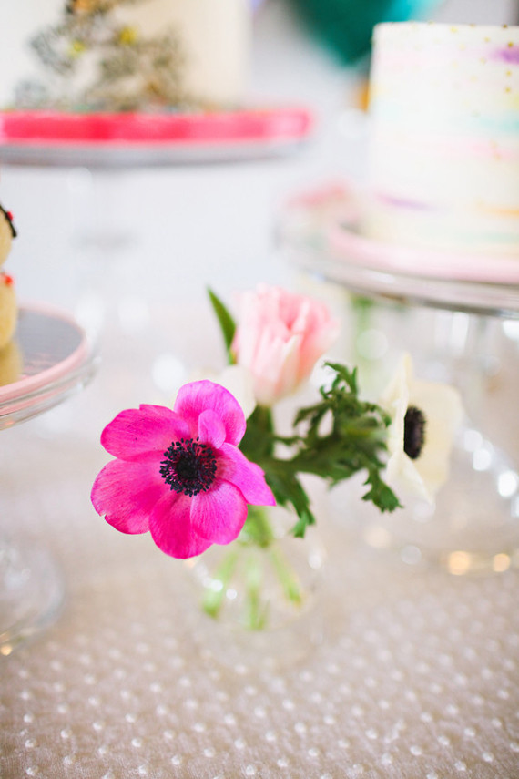 pink anemones