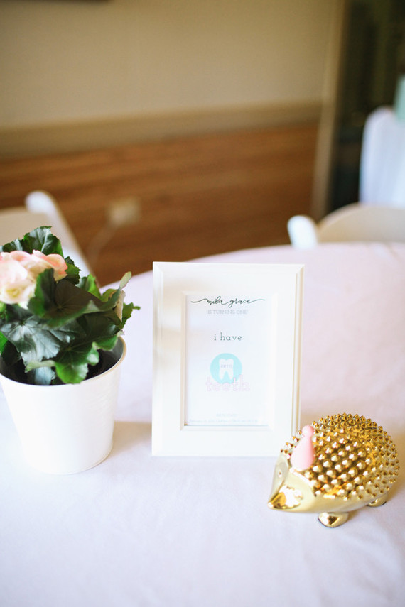 alentines day 1st birthday Inspiration