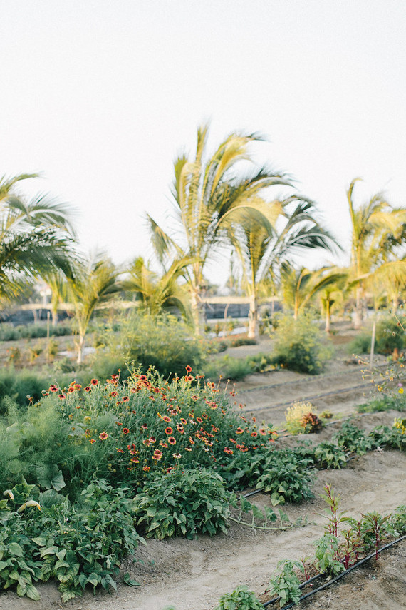 Rancho Pescadero resort Inspiration