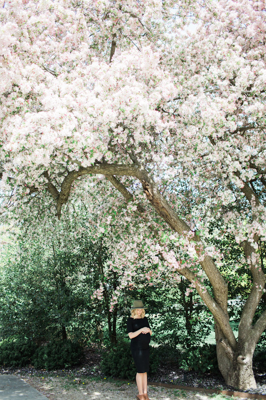 Spring maternity photos
