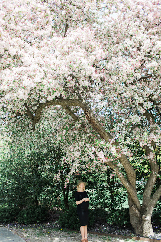 greenhouse maternity photos