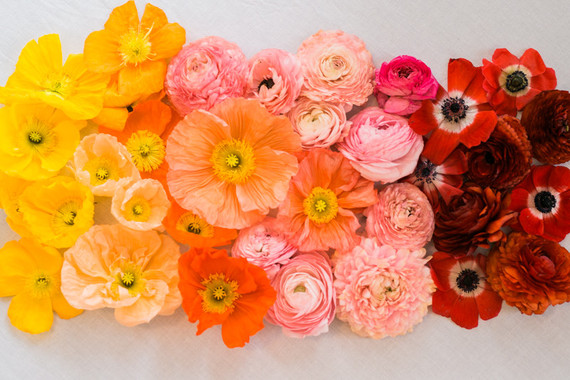 ombre rainbow flowers