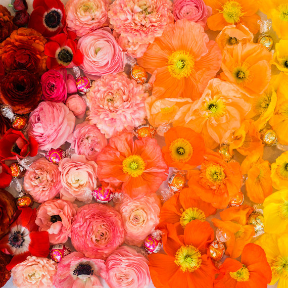 ombre rainbow flowers