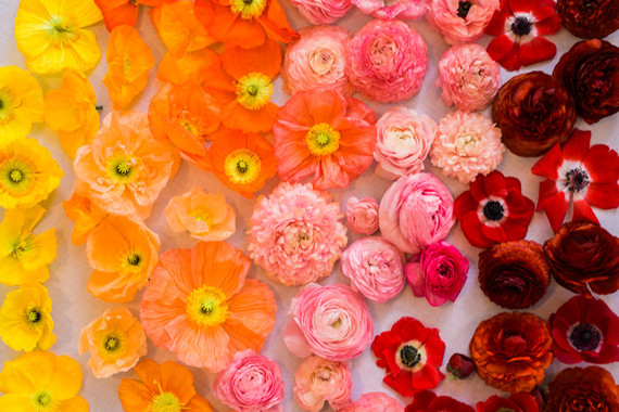 ombre rainbow flowers
