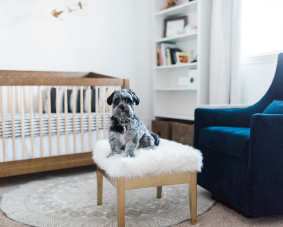Neutral, modern boy's nursery