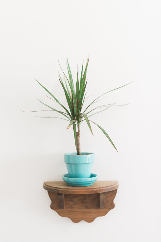 Neutral, modern boy's nursery