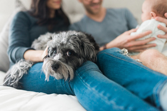 Neutral, modern boy's nursery