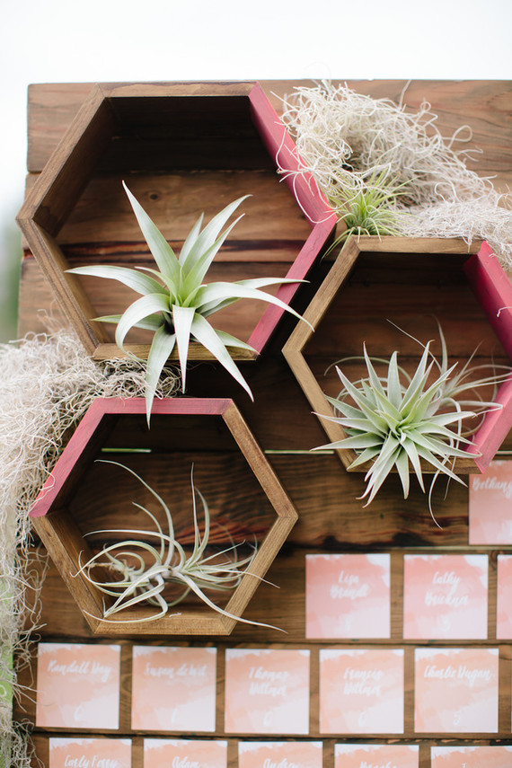 Geometric air plant holder Inspiration