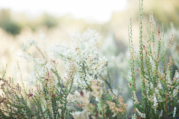 bohemian maternity photos