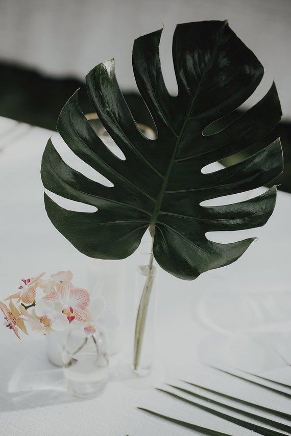 Tropical Palm Springs wedding
