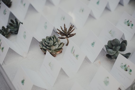 Tropical Palm Springs wedding