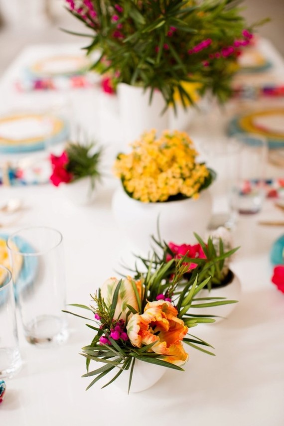 Modern potted plants