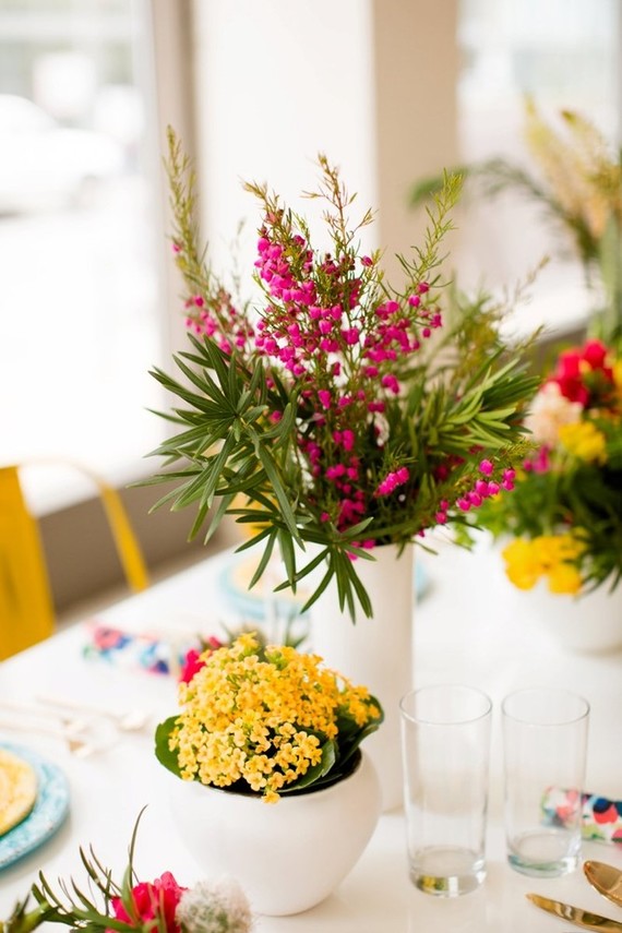 Modern potted plants