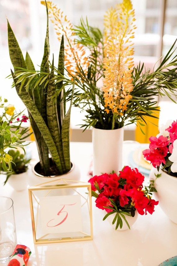 Modern potted plants