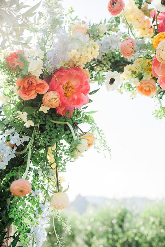 Pink peonies