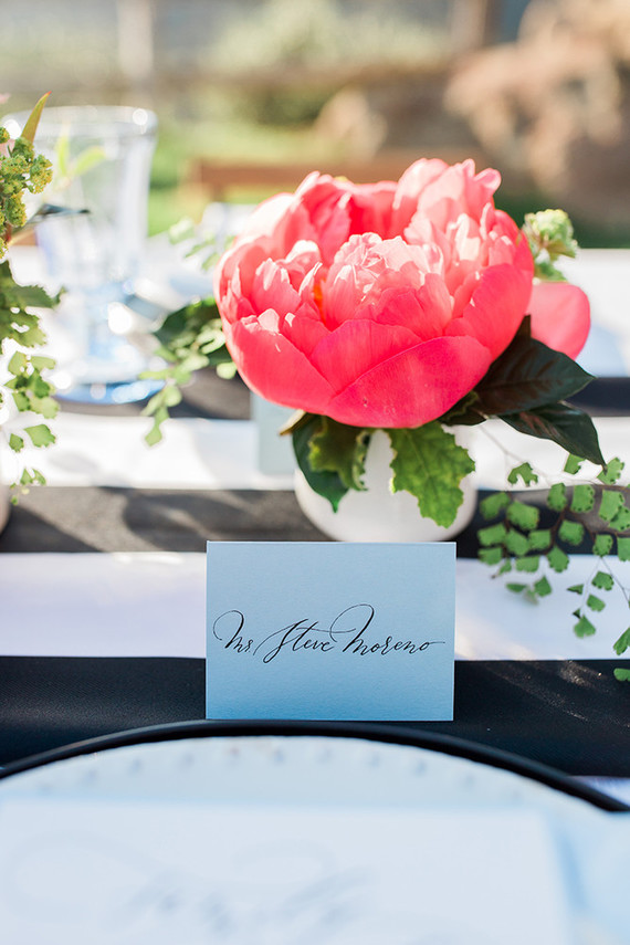 Pink peony