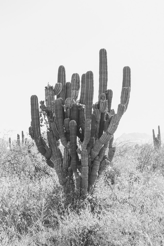 Los Cabo engagement shoot