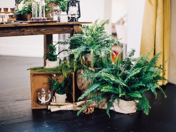 Woodsy 1st birthday Korean Dol