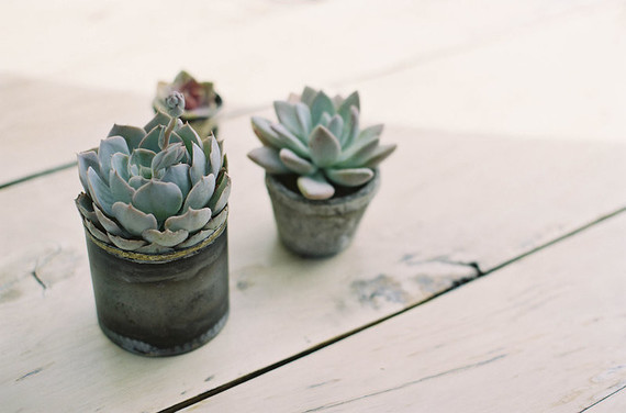 Regal boy's baby shower