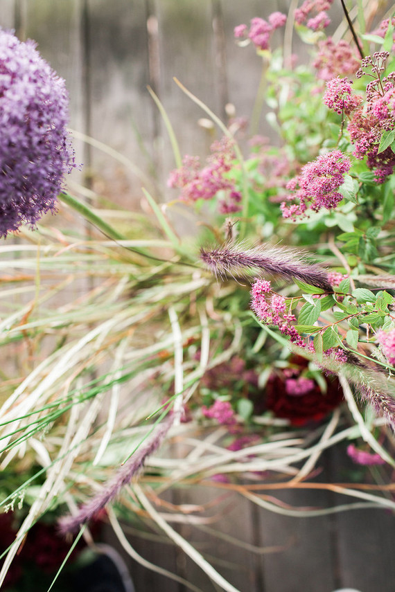 wild flowers