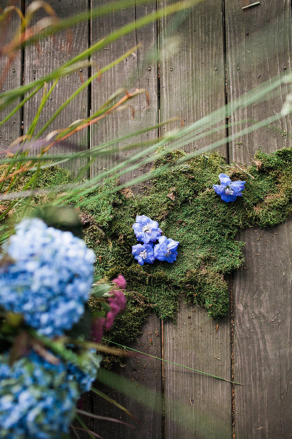 wild flowers