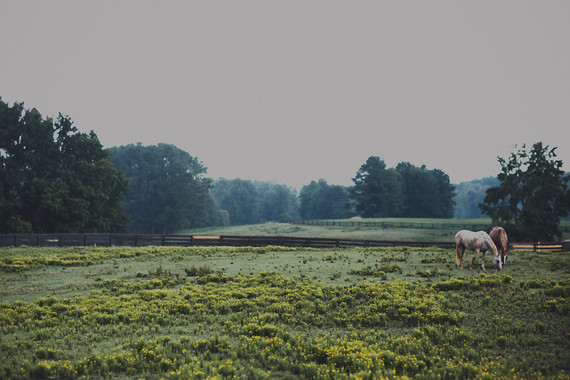 Romantic southern orchard wedding inspiration