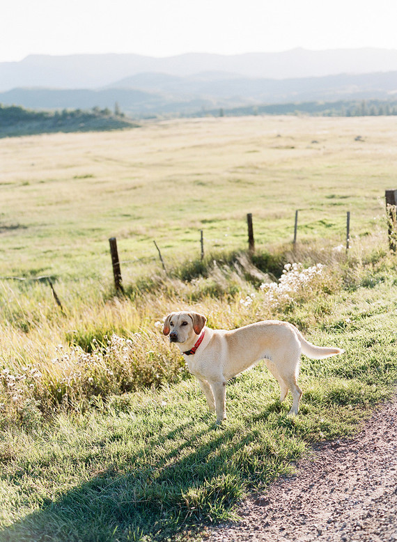 Aspen family photos