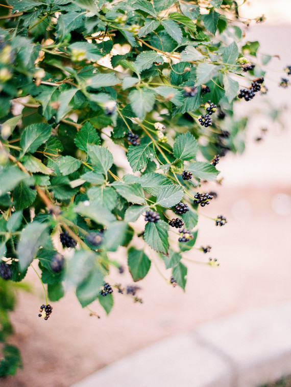 elegant fall wedding ideas