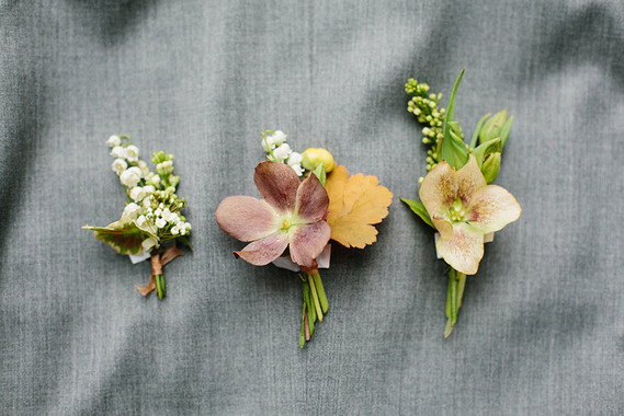 helebore boutonnieres