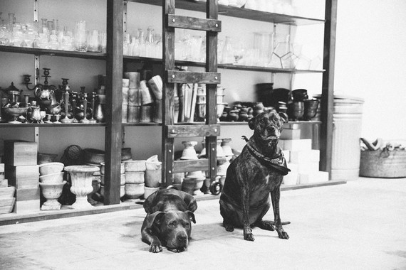 romantik floral studio tour