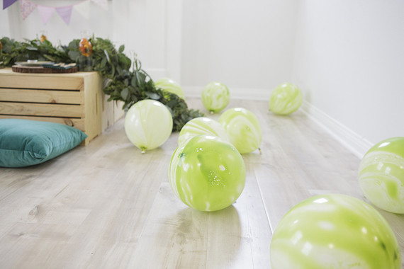 National Parks inspired birthday party ideas