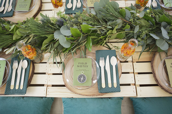 National Parks inspired birthday party ideas