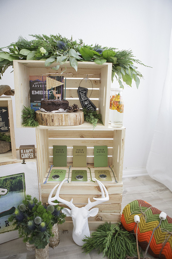 National Parks inspired birthday party ideas