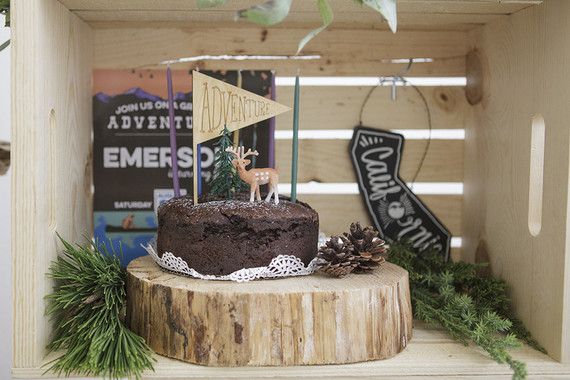 National Parks inspired birthday party ideas