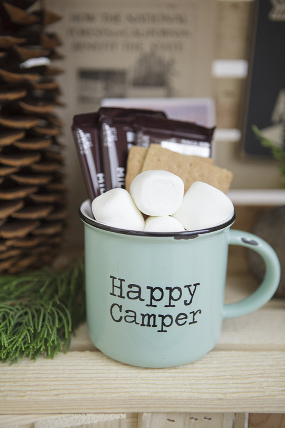 National Parks inspired birthday party ideas Inspiration