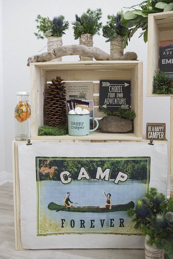 National Parks inspired birthday party ideas