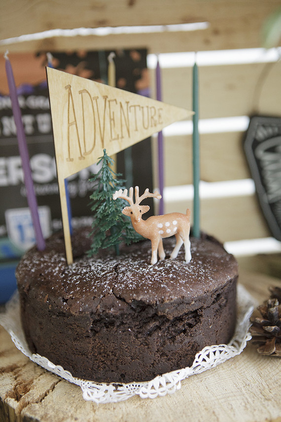 National Parks inspired birthday party ideas