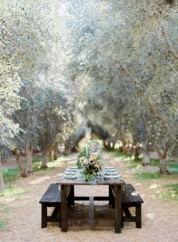 Olive grove wedding inspiration