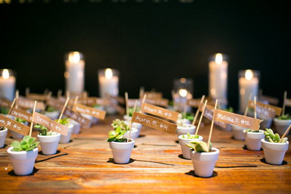 Mini plant escort cards Inspiration