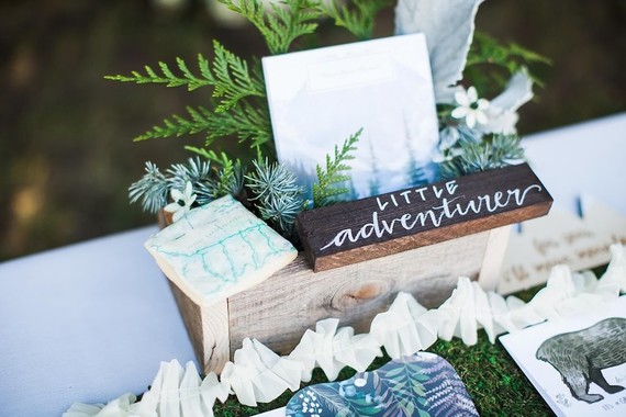 Mountain adventure baby shower