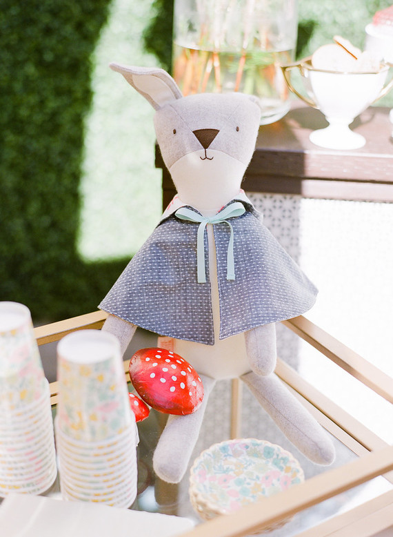 Walnut Animal Society book launch party