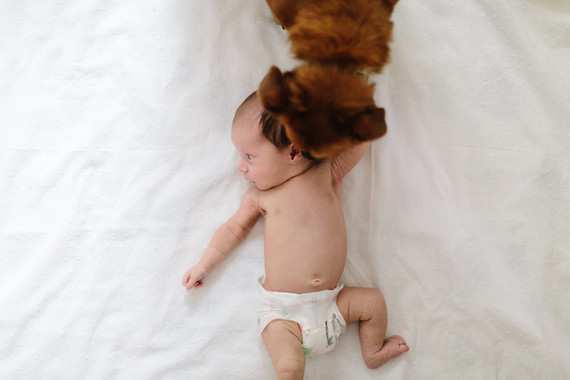 at home newborn photos