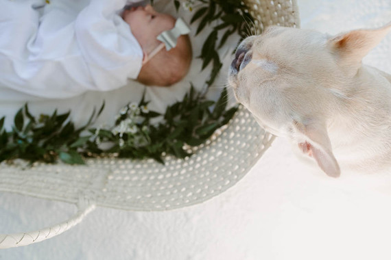 moses basket newborn photos