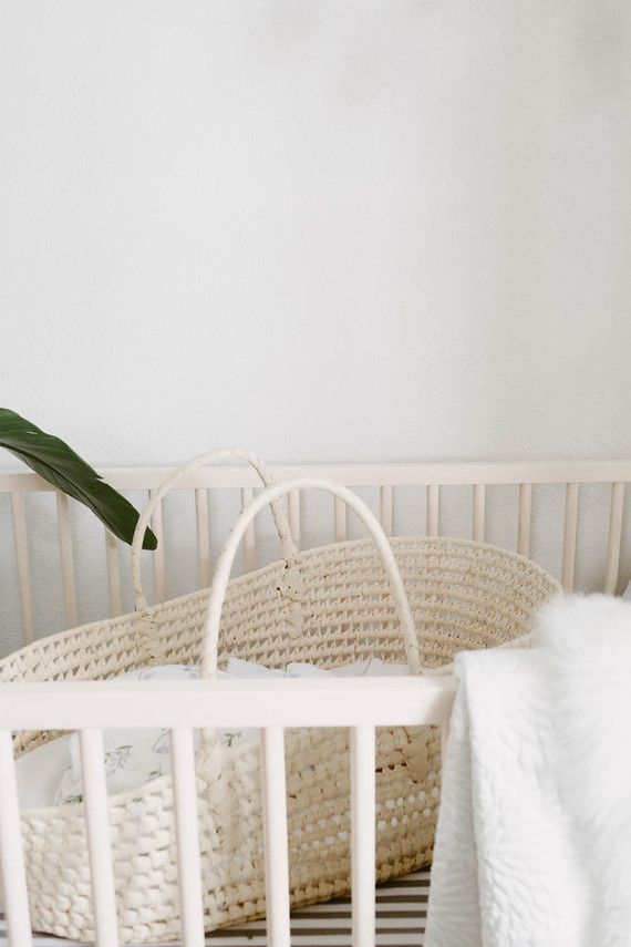 family newborn photos