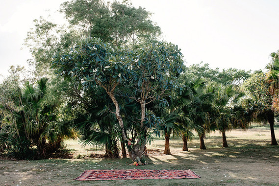 Tropical bohemian wedding inspiration