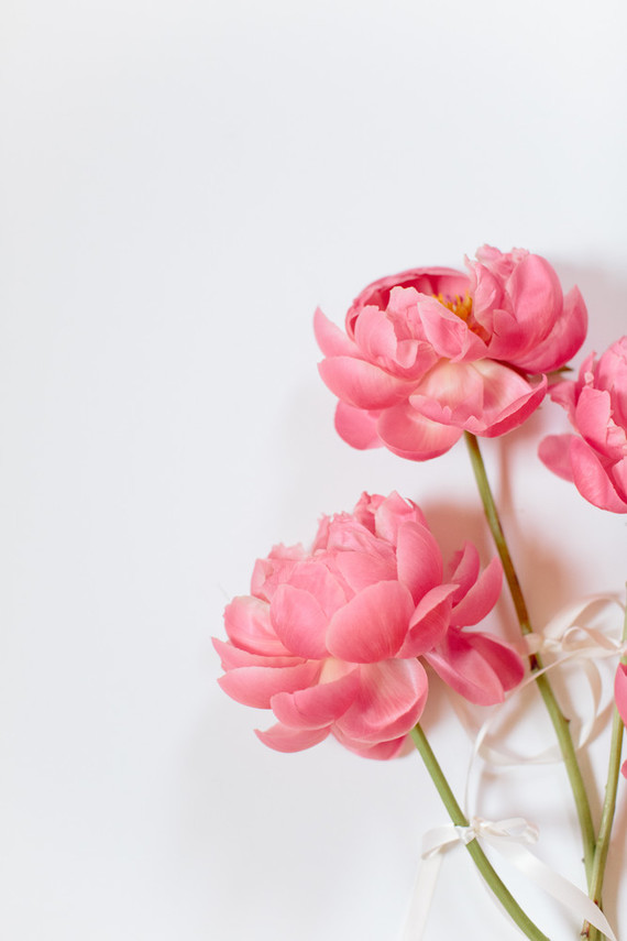 Peony Inspiration