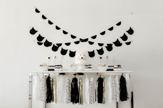 black and white kitty birthday